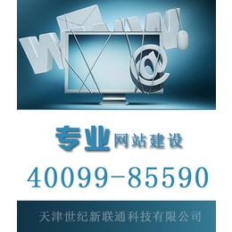 php網(wǎng)站開發(fā),霸州市網(wǎng)站開發(fā),世紀新聯(lián)通