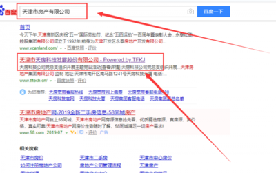 天津市天*科技發展股份網站建設基本流程