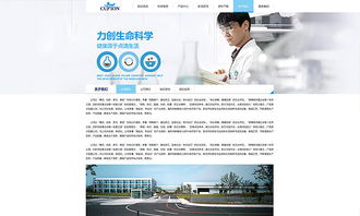 天津網(wǎng)站制作 醫(yī)療行業(yè)官網(wǎng)網(wǎng)站建設(shè)