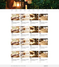 天津網站開發 酒店官網網站開發欣賞