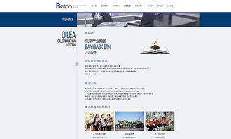 天津網(wǎng)站建設(shè) 石油化工官網(wǎng)案例欣賞